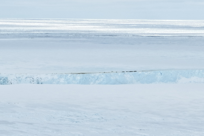 An ice shelf with small black specks — emperor penguins — huddling along the edge is shown from far across an ice field
